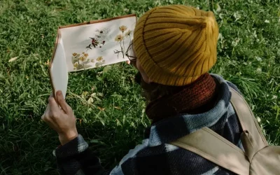 Comment tenir un carnet nature : sortie et conseils pour débuter