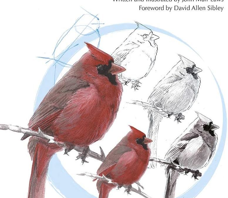 Couverture du livre The Laws Guide to Drawing Birds