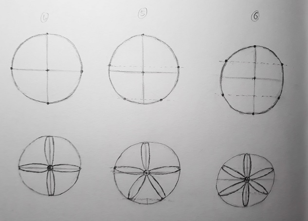 Modèles pour dessiner des fleurs à 4, 5 ou 6 pétales de manière symétrique