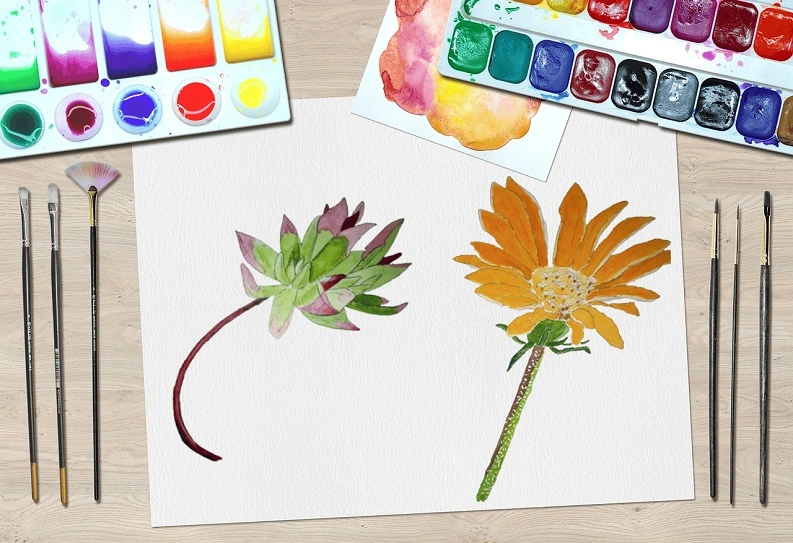 Illustration botanique en couleurs à l'aquarelle