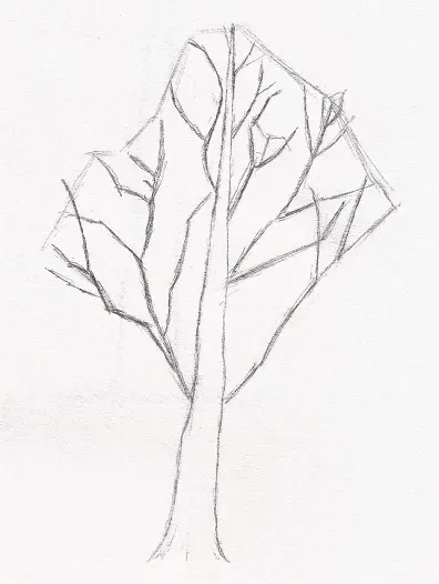 Traits de construction pour dessiner les branches d'un arbre