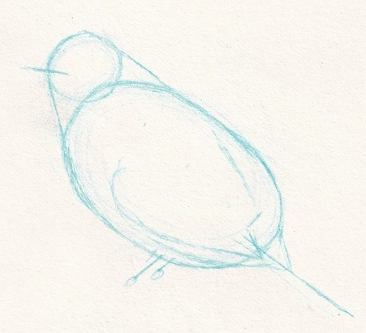 Traits de construction et formes pour un dessin d'oiseau