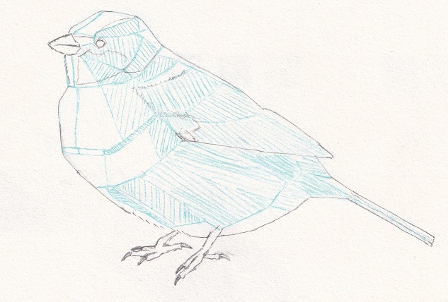 Exemple d'un oiseau sur lequel on visualisé des facette pour les ombres