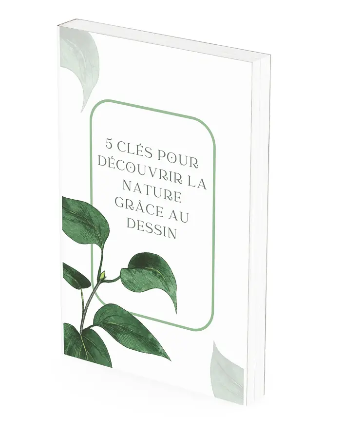 Couverture de l'ebook "5 Clés pour découvrir la nature grâce au dessin"