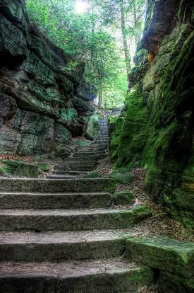 Escalier en pierre dans la nature