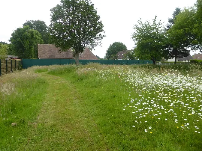 Gestion différenciée d'un jardin avec allée tondue