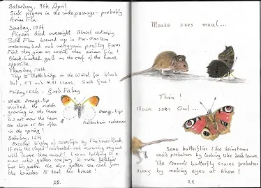 Page de journal nature animaux