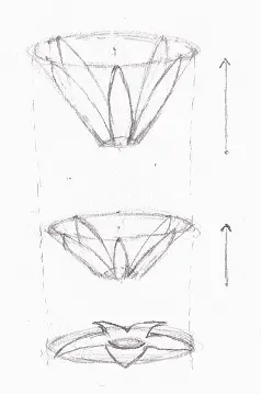 Modèle de fleur effet de la variation de la hauteur