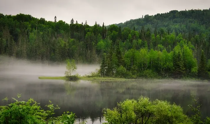 Paysage de nature avec des arbres et un lac dans la brume