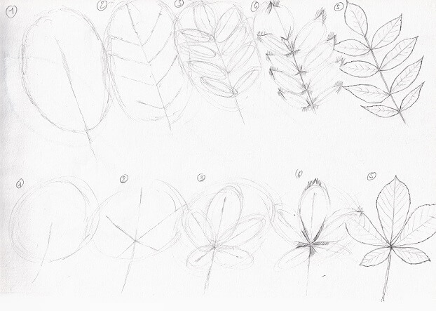 dessins de feuilles pas à pas